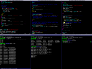 coding screen capture